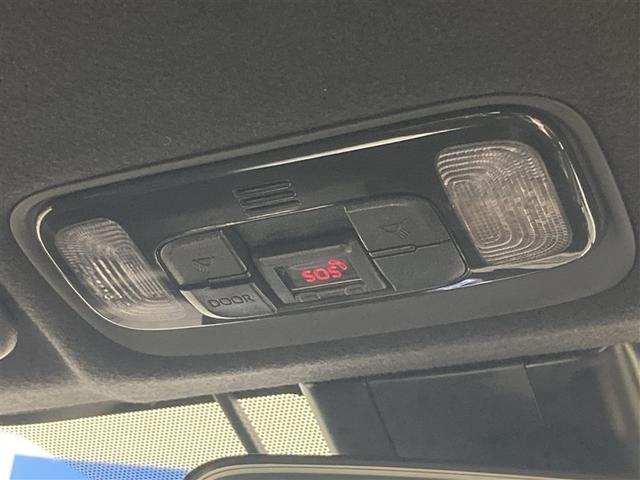 �����͂������A�\������邭�Ƃ炵�܂��B