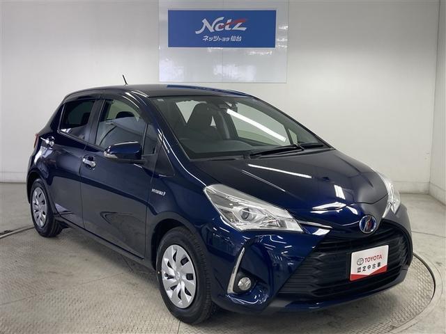 ���K�ȑ���ŁA�X�g���X�̂Ȃ���炵��