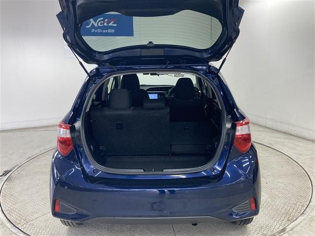 ���i�g���ɂ͏\���ȍL���̃��Q�b�W�X�y�[�X�I�@��Ȃ�|���΁A���傫�ȉו����ڂ����܂��I