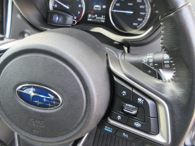 フォレスター ツーリング ETC バックサイドカメラ シートヒーター 衝突被害軽減システム ナビ フルセグTV DVD Bluetooth USB LEDヘッドライト フォグランプ レーダークルーズコントロール パドルシフト(28枚目)