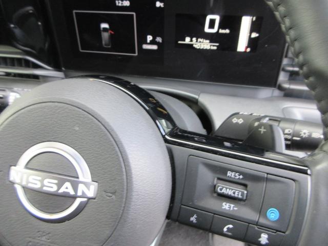 セレナ ＸＶ　４ＷＤ　衝突被害軽減システム　バックカメラ　ナビ　フルセグＴＶ　Ｂｌｕｅｔｏｏｔｈ　ＵＳＢ　プロパイロット　ＥＴＣ　シートヒーター　ハンズフリードア　ＬＥＤヘッドライト　ステアリングヒーター（32枚目）