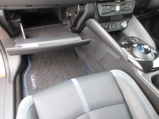 リーフ ｅ＋　Ｇ　ナビ　全方位カメラ　パーキングアシスト　フルセグＴＶ　Ｂｌｕｅｔｏｏｔｈ　ＵＳＢ　革シートヒーター　衝突被害軽減システム　プロパイロット　ＥＴＣ２．０　ドライブレコーダー　ブラインドスポットモニター（35枚目）