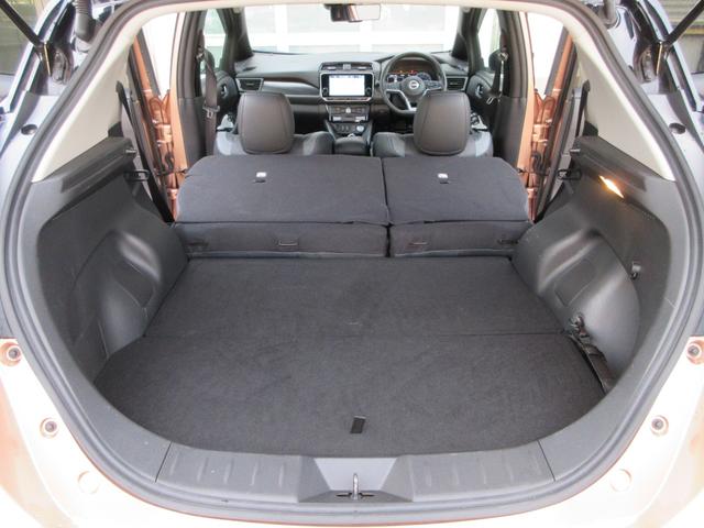 リーフ ｅ＋　Ｇ　ナビ　全方位カメラ　パーキングアシスト　フルセグＴＶ　Ｂｌｕｅｔｏｏｔｈ　ＵＳＢ　革シートヒーター　衝突被害軽減システム　プロパイロット　ＥＴＣ２．０　ドライブレコーダー　ブラインドスポットモニター（39枚目）