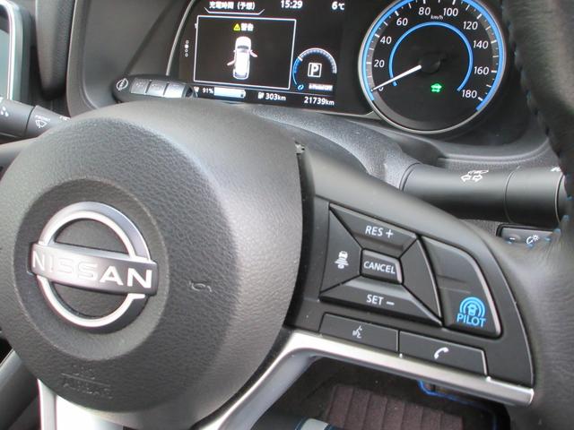 リーフ ｅ＋　Ｇ　ナビ　全方位カメラ　パーキングアシスト　フルセグＴＶ　Ｂｌｕｅｔｏｏｔｈ　ＵＳＢ　革シートヒーター　衝突被害軽減システム　プロパイロット　ＥＴＣ２．０　ドライブレコーダー　ブラインドスポットモニター（45枚目）