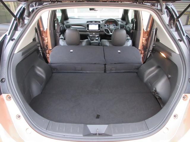 リーフ ｅ＋　Ｇ　ナビ　全方位カメラ　パーキングアシスト　フルセグＴＶ　Ｂｌｕｅｔｏｏｔｈ　ＵＳＢ　革シートヒーター　衝突被害軽減システム　プロパイロット　ＥＴＣ２．０　ドライブレコーダー　ブラインドスポットモニター（47枚目）