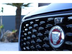 ƥڥ ҡݥʥߥå֥å졼ƥåɥեѥ󡡣֡ѥΥޥ롼ա֥åƥꥢС֥롼ե䡼֥롼ƥꥢ 0910033A30251112W001 4