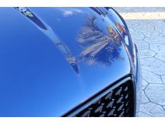 ƥڥ ҡݥʥߥå֥å졼ƥåɥեѥ󡡣֡ѥΥޥ롼ա֥åƥꥢС֥롼ե䡼֥롼ƥꥢ 0910033A30251112W001 6