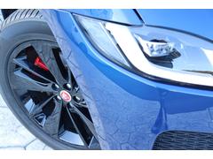 ƥڥ ҡݥʥߥå֥å졼ƥåɥեѥ󡡣֡ѥΥޥ롼ա֥åƥꥢС֥롼ե䡼֥롼ƥꥢ 0910033A30251112W001 7