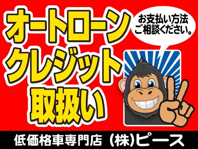 アバンツァーレ タイミングベルト交換済み(21枚目)