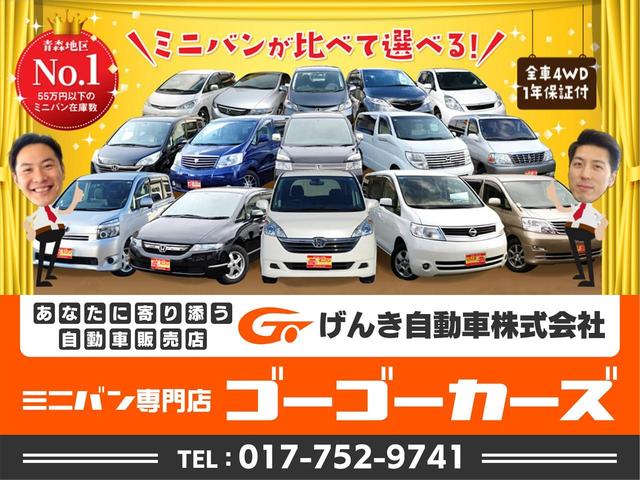 アエラス　Ｇエディション　７人　４ＷＤ　両側パワースライドドア　フリップダウン(29枚目)