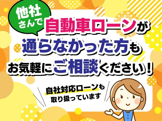 アエラス　７人　４ＷＤ　車高調ローダウン　社外１９インチＡＷ　８インチナビ(48枚目)