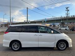 �����ƥ��� �����������饹���ǥ��ǥ�����󡡣��ףġ������ϻ��͡��ե���ȥ��饹Ǯ�� 0910039A30251226W004 5