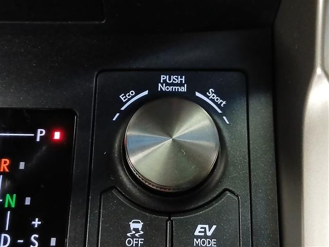 NX NX300h Iパッケージ 4WD 寒冷地 衝突被害軽減システム メモリーナビ バックカメラ フルセグ LEDヘッドランプ アルミホイール スマートキー オートクルーズコントロール ETC 盗難防止装置 電動シート キーレス(17枚目)