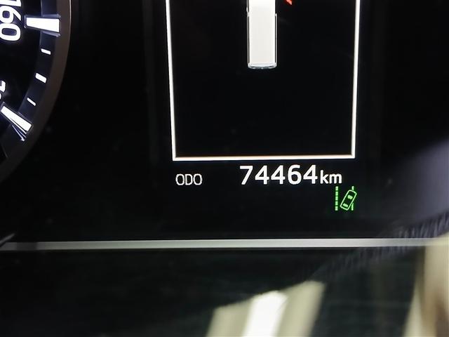 ����_�������t�����ۏؕt���Ȃ̂ŁA���s�������L�тĂ����S�B�܂��܂������Ŋ���ł���Ԃł��B