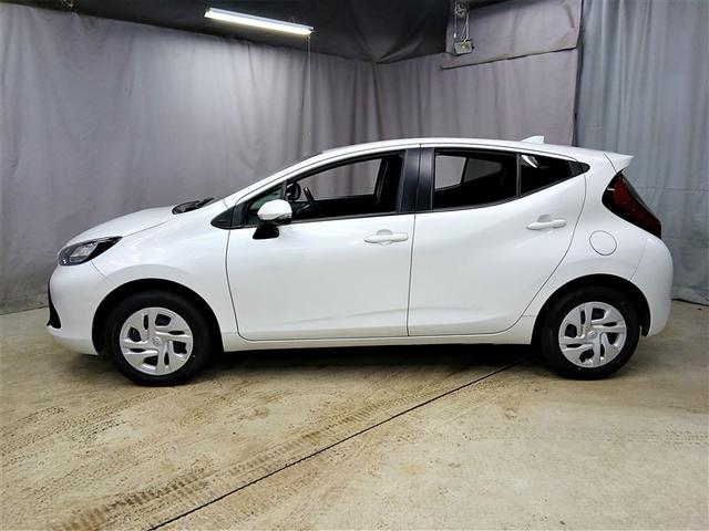 �{�f�B�J���[�͐l�C�̃v���`�i�z���C�g�p�[���}�C�J�I