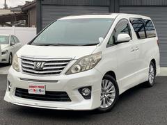 ����ե����� �������ӡݣåѥå��������ץ���롼�ա��ѥ�Хå��ɥ�����ǥꥹ�����������ޥե顼������ѥ���ʥӡ��ϥǥ����¥���� 0910063A20251224W001 2