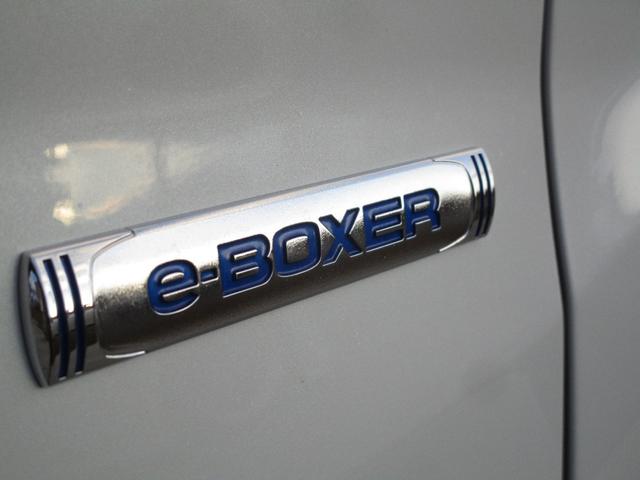 フォレスター アーバンセレクション　ワンオーナー　純正ナビ　バックカメラ　パワーシート　レーダークルコン　シートヒーター　デジタルインナーミラー　レーンキープアシスト　衝突被害軽減システム　パワーバックドア　ブラインドスポットモニター（67枚目）