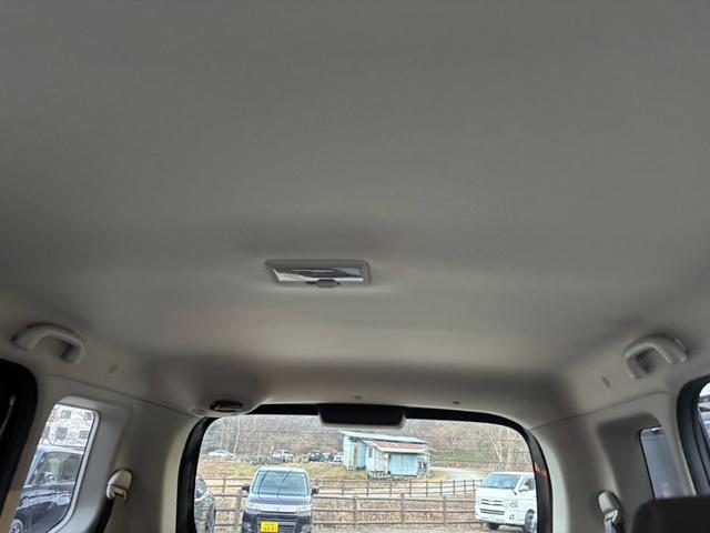 �V����ڗ�����������Ȃ��L���C�ł��I