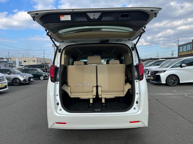 アルファードハイブリッド Ｘ　ナビアルミバックカメラＴＶ　ＢＴ　ＷＩＦＩ　ＥＴＣ　両側電動スライドドア　クルーズ（10枚目）