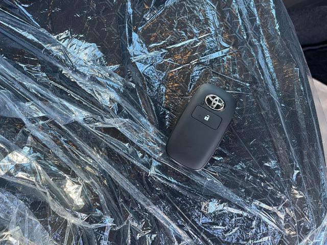 ライズ Ｚ　ナビ　アルミ　バックカメラ　クルーズ（26枚目）