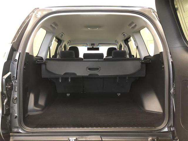 TX 4WD バックモニター メモリーナビ ワンセグ ETC(7枚目)