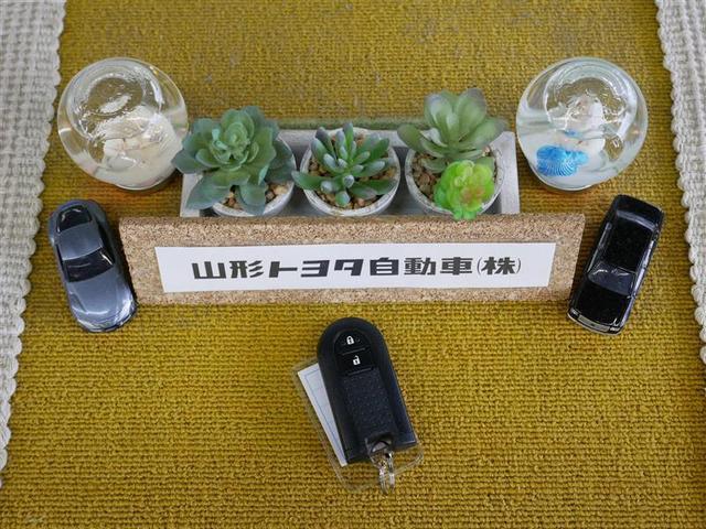 X SAIII 4WD ワンセグ メモリーナビ バックカメラ 衝突被害軽減システム ETC LEDヘッドランプ アイドリングストップ(18枚目)