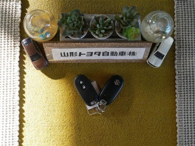 ハスラー Ｘ　４ＷＤ　メモリーナビ　ＤＶＤ再生　バックカメラ　衝突被害軽減システム　ＥＴＣ　ＨＩＤヘッドライト　ワンオーナー　アイドリングストップ（33枚目）