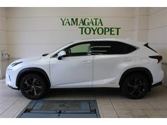 �Σ� �Σأ������衡�С������̡��ץ����ȡ�����롼�ա����ף� 0910121A20260206T001 2