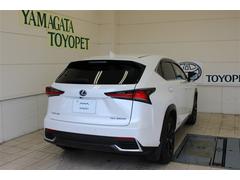 �Σ� �Σأ������衡�С������̡��ץ����ȡ�����롼�ա����ף� 0910121A20260206T001 3