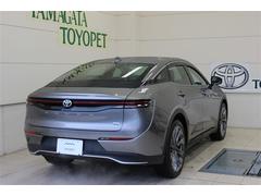 ���饦�󥯥��������С� �ǥ��ɥХ󥹥ɡ��쥶���ѥå��������ץ����ȡ����ףġ��ߥ塼���å��ץ쥤�䡼��³�� 0910129A20251124T006 3