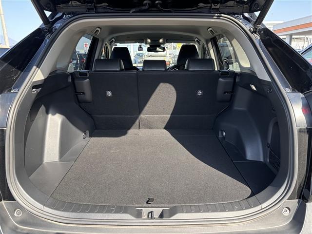 ＲＡＶ４ ハイブリッドＧ　４ＷＤ　寒冷地　衝突被害軽減システム　バックカメラ　フルセグ　ＬＥＤヘッドランプ　アルミホイール　スマートキー　オートクルーズコントロール　ＥＴＣ　盗難防止装置　電動シート　キーレス　横滑り防止機能（13枚目）