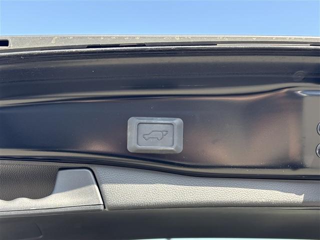 ＲＡＶ４ ハイブリッドＧ　４ＷＤ　寒冷地　衝突被害軽減システム　バックカメラ　フルセグ　ＬＥＤヘッドランプ　アルミホイール　スマートキー　オートクルーズコントロール　ＥＴＣ　盗難防止装置　電動シート　キーレス　横滑り防止機能（30枚目）