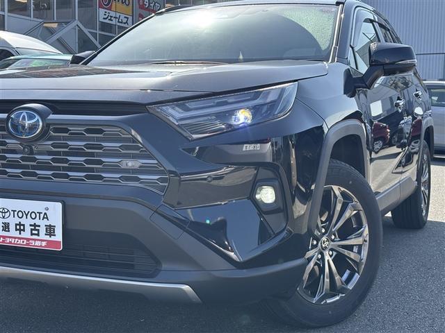 ＲＡＶ４ ハイブリッドＧ　４ＷＤ　寒冷地　衝突被害軽減システム　バックカメラ　フルセグ　ＬＥＤヘッドランプ　アルミホイール　スマートキー　オートクルーズコントロール　ＥＴＣ　盗難防止装置　電動シート　キーレス　横滑り防止機能（32枚目）