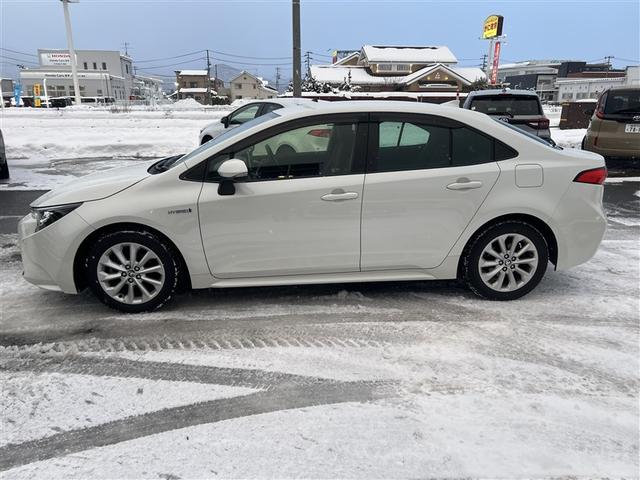 �J���[�͔������p�[���}�C�J��