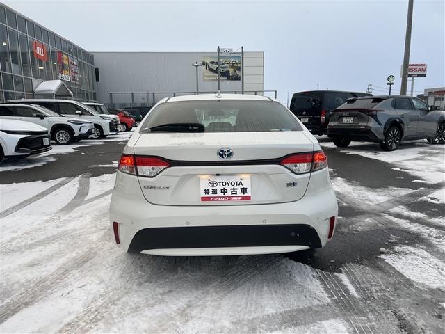 �u���ɑ��邱�Ƃ��o����{�f�B�ł��I