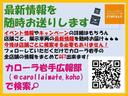 Ｓ　寒冷地　衝突被害軽減システム　メモリーナビ　フルセグ　スマートキー　盗難防止装置　キーレス　横滑り防止機能　ハイブリッド（12枚目）