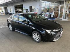  ϥ֥åɡǡݣءϡﳲڸƥࡡХå 0910132A20251010T003 3