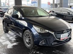 �ǥߥ� �����ӡ����꡼�ʥӡ��Хå�����顡�ե륻�����̣ţĥإåɥ��� 0910133A20260130T003 3