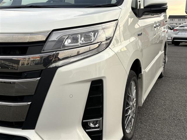 �k�d�c�Ńt�H�O�����v���t���Ă܂��I