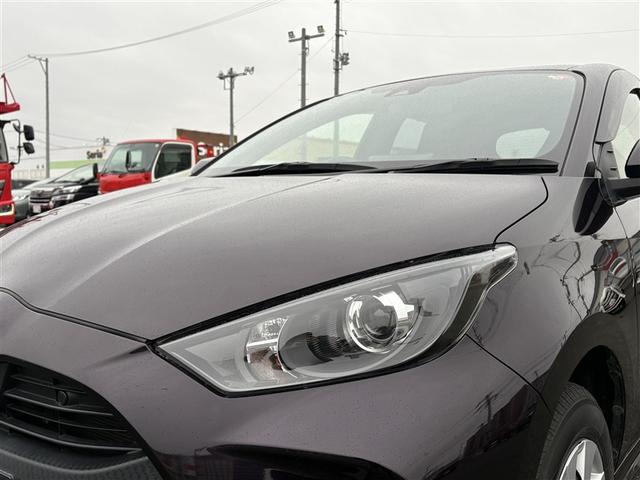 �n���Q���w�b�h���C�g�ł��B