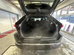 �ϥꥢ���ϥ��֥�å� �ǡ����ףġ��ߥ塼���å��ץ쥤�䡼��³�ġ��Хå�����顡�����ﳲ�ڸ������ƥ� 0910174A20260110T004 4