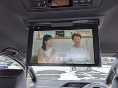 ������������ �ǣ顡�ץ�ߥ���ѥå����������ףġ��ե륻�������꡼�ʥ� 0910175A20260129T001 4