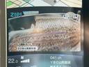 サムネイル10