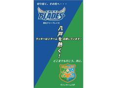 当社は東北フリーブレイズ、ヴァンラーレ八戸のオフィシャルスポンサーです☆彡 6