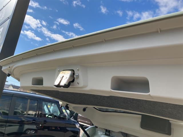 タフト Ｇ　届け出済み未使用車　バックカメラ　クリアランスソナー　オートクルーズコントロール　衝突被害軽減システム　オートマチックハイビーム　オートライト　ＬＥＤヘッドランプ　ヘッドライトウォッシャー（47枚目）