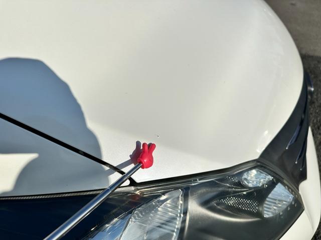 ���₢���킹�͂�����܂œd�b�ԍ��@�O�Q�S�|�T�U�R�|�T�W�W�W�i�P�O�F�O�O����P�X�F�O�O�A�ؗj����x�j