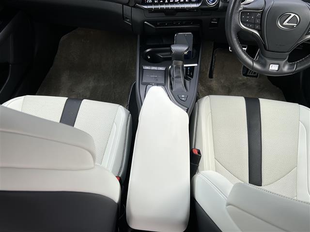 ＵＸ ＵＸ２５０ｈ　Ｆスポーツ（10枚目）