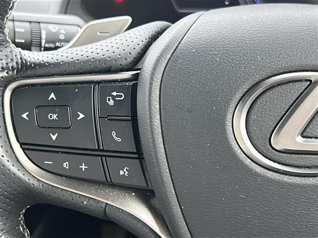 ＵＸ ＵＸ２５０ｈ　Ｆスポーツ（15枚目）