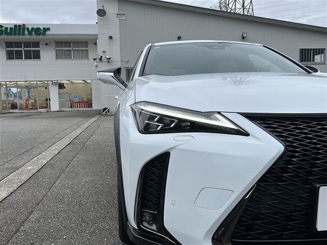 ＵＸ ＵＸ２５０ｈ　Ｆスポーツ（34枚目）