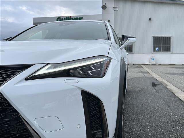 ＵＸ ＵＸ２５０ｈ　Ｆスポーツ（35枚目）